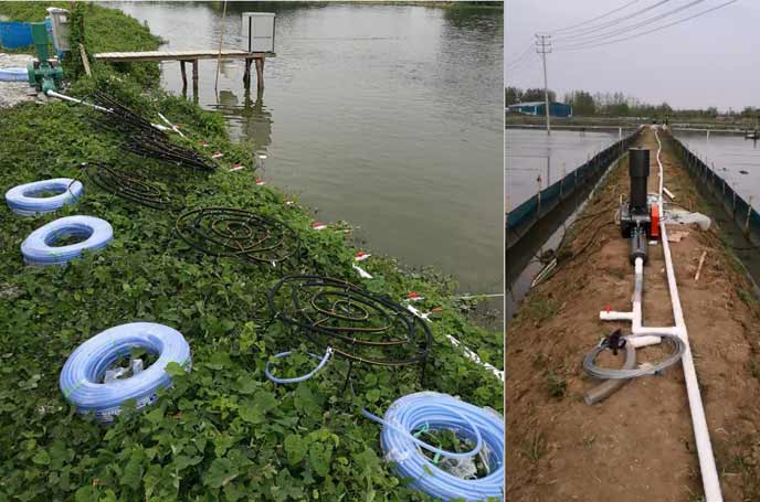 水產養殖羅茨幸福宝APP污版下载